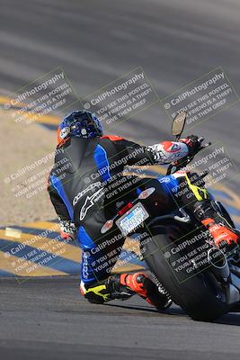 media/Nov-12-2023-SoCal Trackdays (Sun) [[5d1fba4e7d]]/Turn 10 Backside (115pm)/